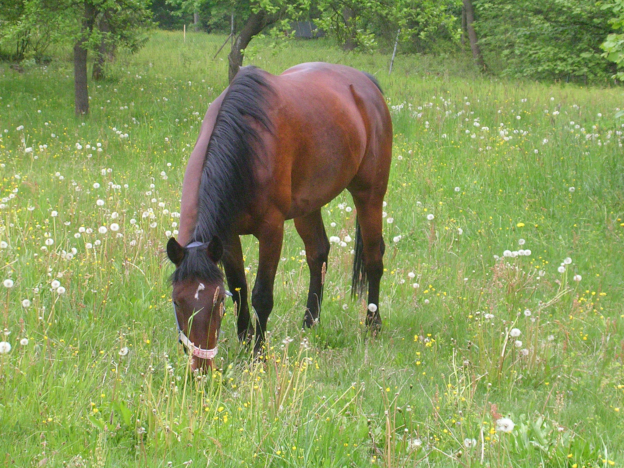 Snímek 400.jpg